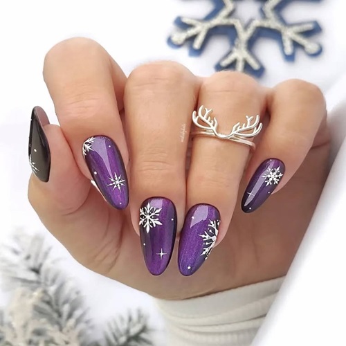 Midnight Snowflake Galaxy